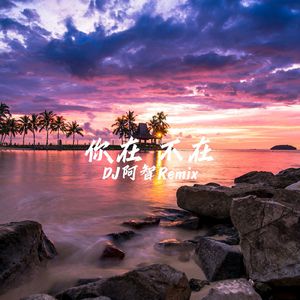 欧美性爱视频播放
